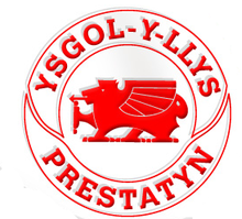 Ysgol Y LLys