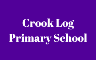 Crook Log Primary School