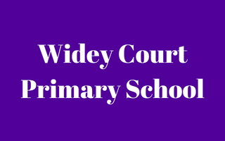 Widey Court Primary School