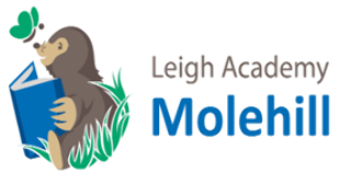 Leigh Academy Molehill