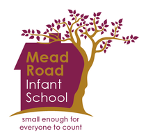 Friends of Mead Road Infant School