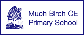 Much Birch CE Primary School