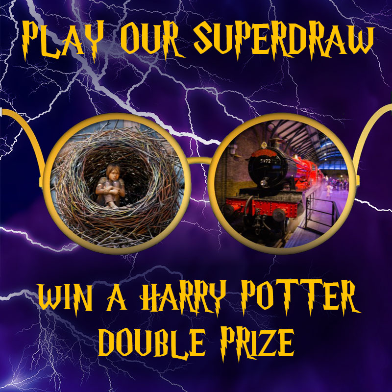 Win a Harry Potter double prize bundle!